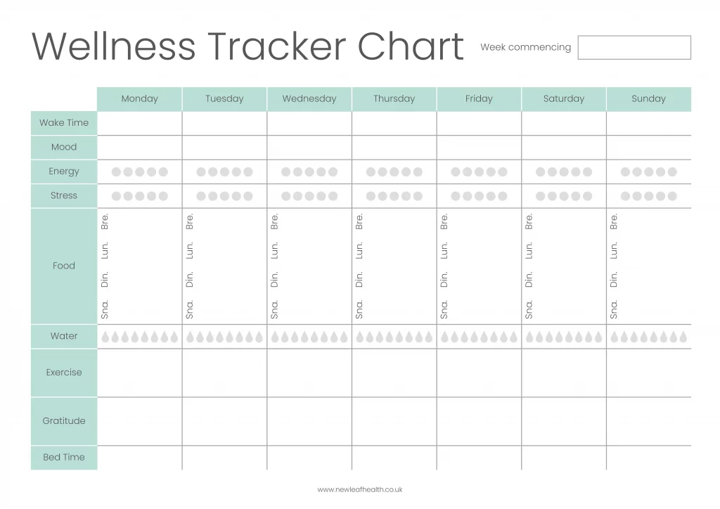 An image of the personal wellness tracker chart