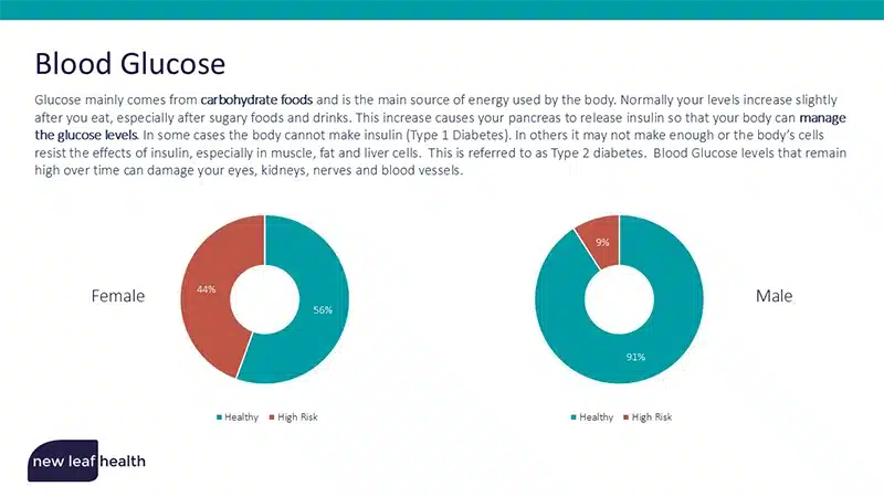 20-Minute Health Screening Report - Slide 10